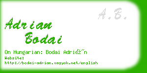 adrian bodai business card